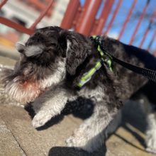 いいお天気でした(≧▽≦)イメージ