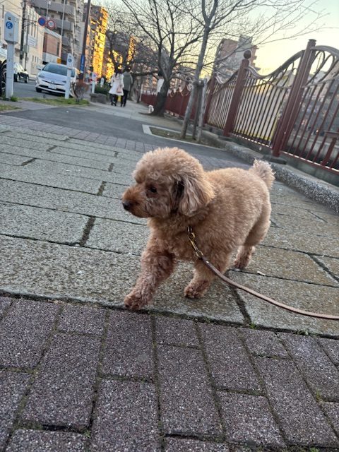 仕事納めの方が多いのでは～？👀イメージ