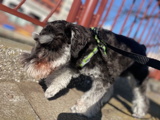 いいお天気でした(≧▽≦)イメージ