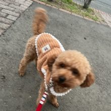 みんな元気いっぱいでした♫イメージ