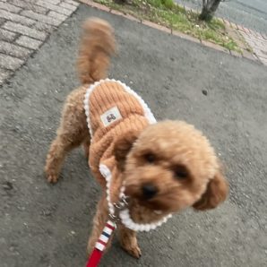 みんな元気いっぱいでした♫イメージ