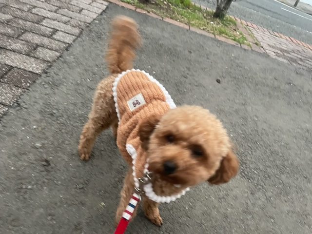 みんな元気いっぱいでした♫イメージ