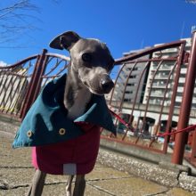 今年もあとわずかです！イメージ