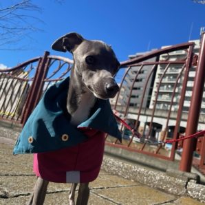 今年もあとわずかです！イメージ