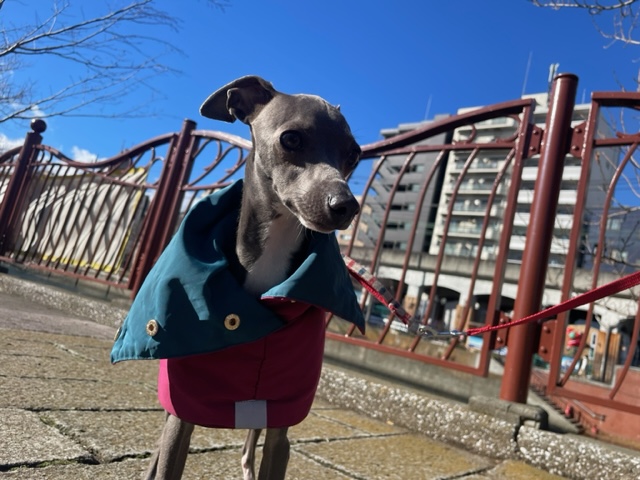 今年もあとわずかです！イメージ