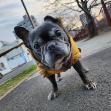 よいお年をお過ごしください♪イメージ