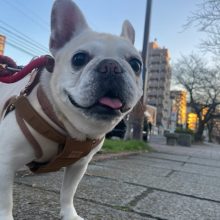 2026年まであと3日！イメージ