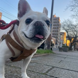 2026年まであと3日！イメージ