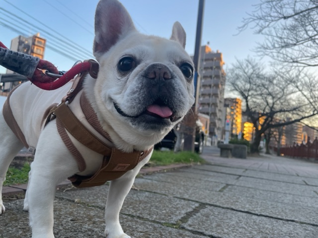 2026年まであと3日！イメージ