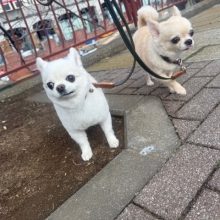 風が冷たい一日でした(>_<)イメージ