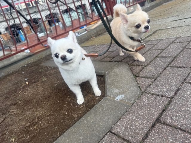 風が冷たい一日でした(>_<)イメージ