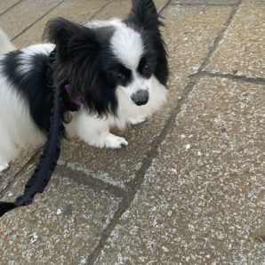 いいお天気でした！イメージ