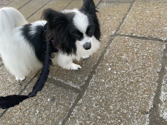 いいお天気でした！イメージ