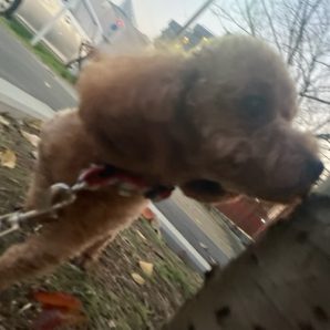 肌寒い1日でした(>_<)イメージ