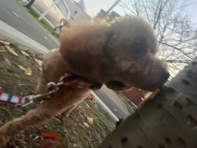 肌寒い1日でした(>_<)イメージ