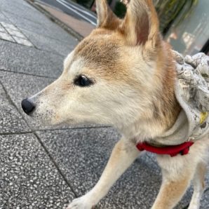 いいお天気でした(^O^)／イメージ