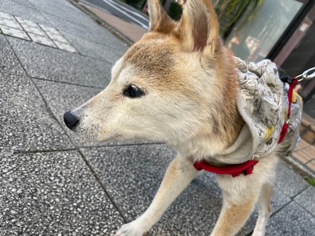 いいお天気でした(^O^)／イメージ