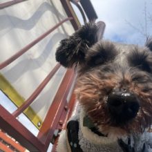 店内フリーのお友達が多い1日でした！イメージ