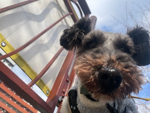 店内フリーのお友達が多い1日でした！イメージ