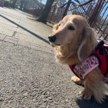 いいお天気です(*’▽’)イメージ