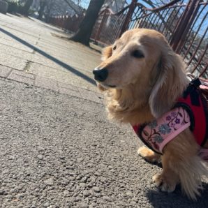 いいお天気です(*’▽’)イメージ