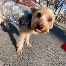 気持ちのいいお天気でした(≧▽≦)イメージ