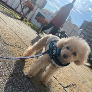 みんなのんびりです(≧▽≦)イメージ