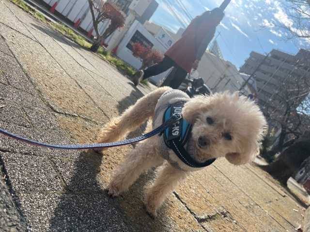 みんなのんびりです(≧▽≦)イメージ