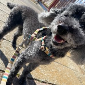 寒い風が吹いています(>_<)イメージ