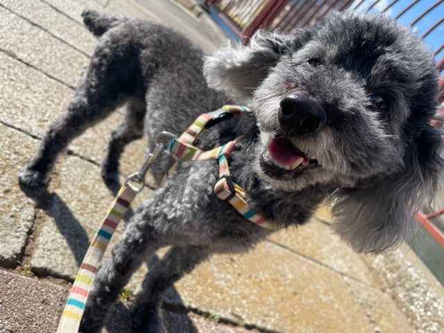 寒い風が吹いています(>_<)イメージ