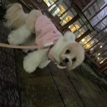 とても寒い1日でした(>_<)イメージ