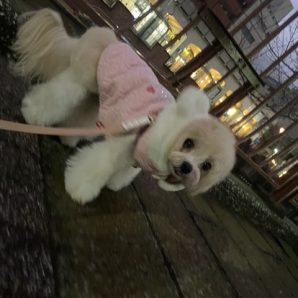 とても寒い1日でした(>_<)イメージ