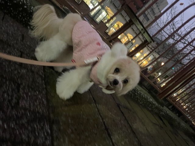 とても寒い1日でした(>_<)イメージ