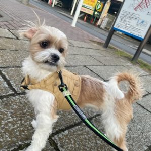 店内フリーのお友達がいっぱいです(*´▽｀*)イメージ