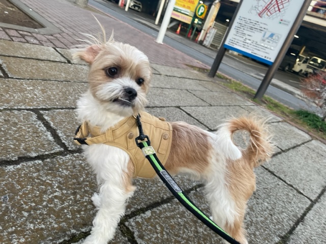 店内フリーのお友達がいっぱいです(*´▽｀*)イメージ