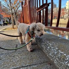 今年も残すところ1か月です！イメージ