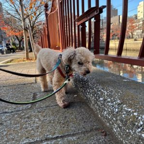 今年も残すところ1か月です！イメージ