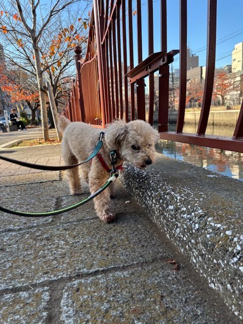 今年も残すところ1か月です！イメージ