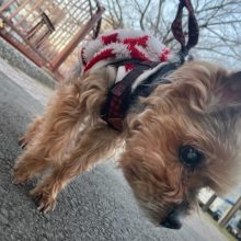 いいお天気でした♬イメージ