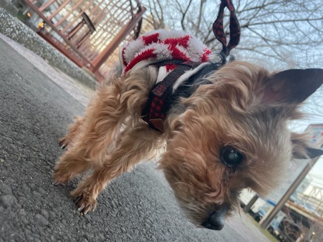 いいお天気でした♬イメージ