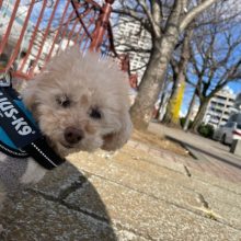 みんな元気いっぱいです！イメージ