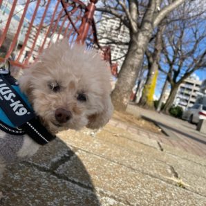 みんな元気いっぱいです！イメージ