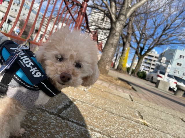 みんな元気いっぱいです！イメージ