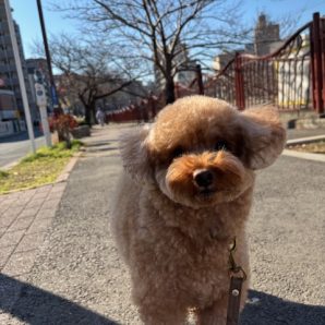 みんな元気いっぱいです♫イメージ