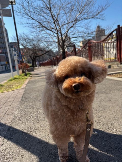 みんな元気いっぱいです♫イメージ