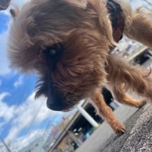 いいお天気でした(*^▽^*)イメージ