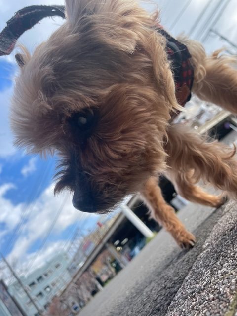 いいお天気でした(*^▽^*)イメージ