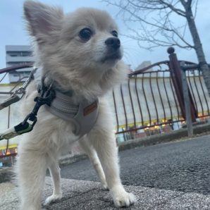 みんな元気に過ごしています(‘ω’)ノイメージ