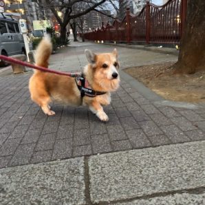 大大大寒波！🥶イメージ