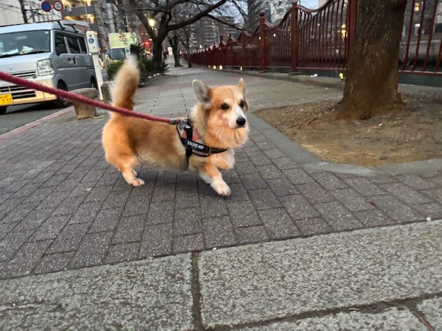 大大大寒波！🥶イメージ